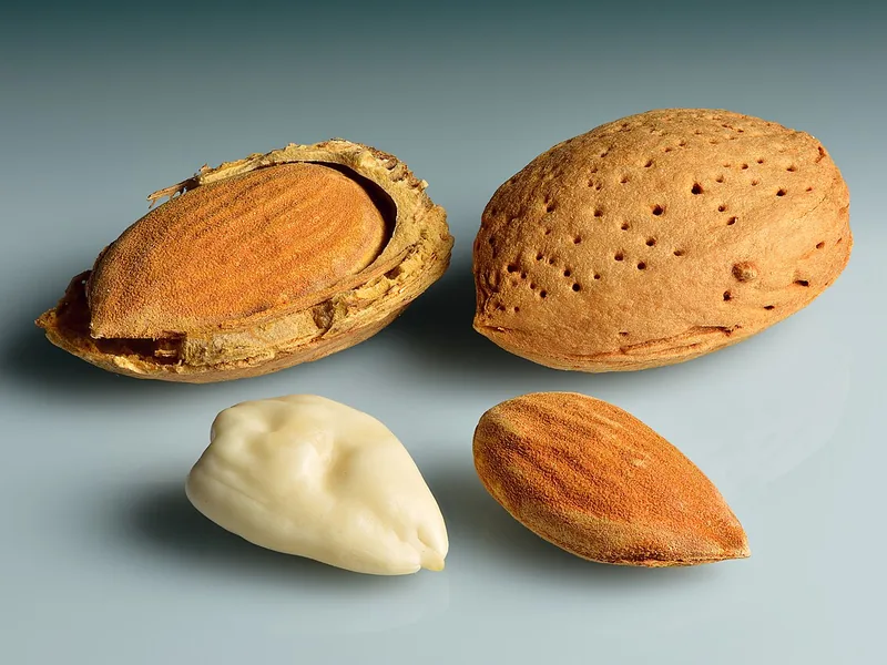 Cultivo y cuidados botánicos de Almendro