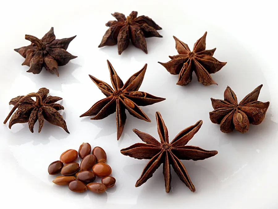 Cultivo y cuidados botánicos de Anis Estrella
