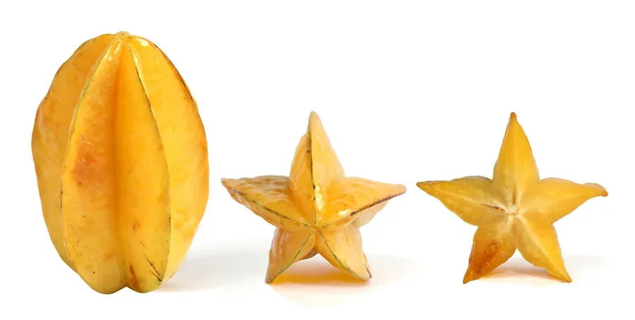 Cultivo y cuidados botánicos de Carambola