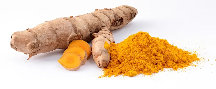 Cultivo y cuidados botánicos de Curcuma Longa