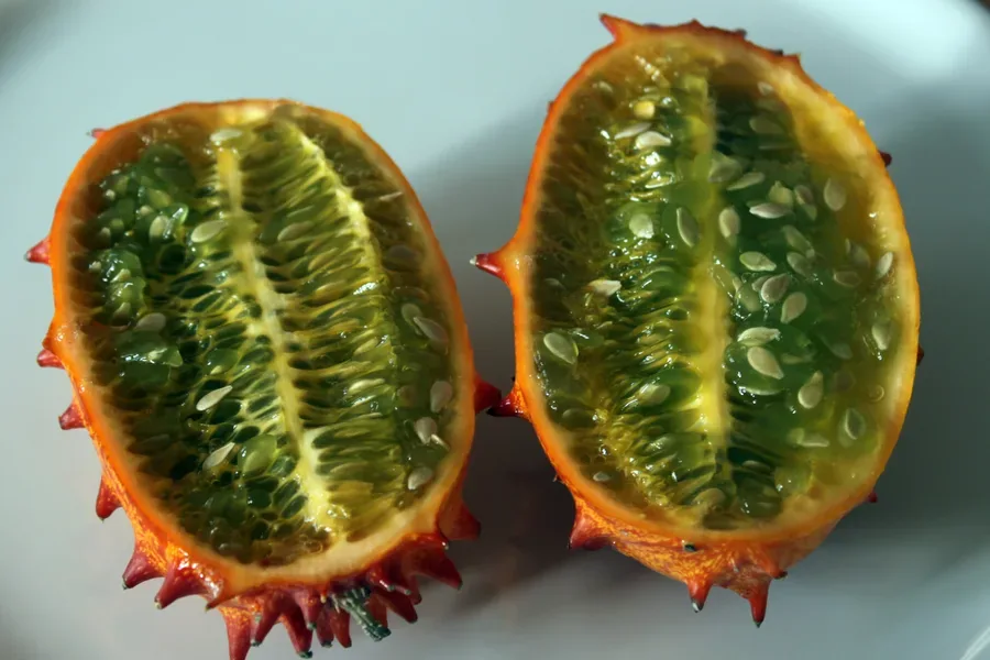 Cultivo y cuidados botánicos de Kiwano o Pepino africano