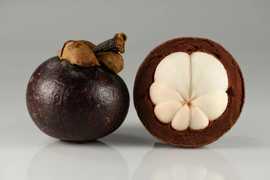 Cultivo y cuidados botánicos de Mangostán