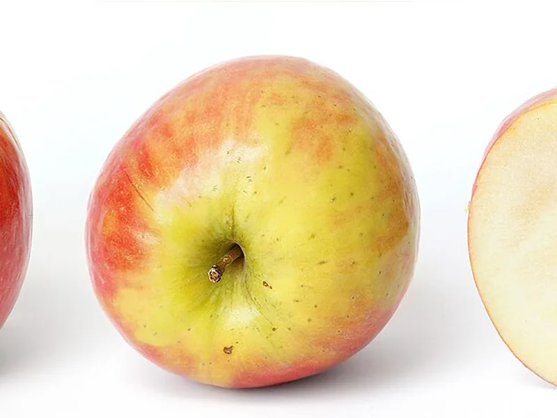 Ficha botánica de Manzano (Malus domestica)