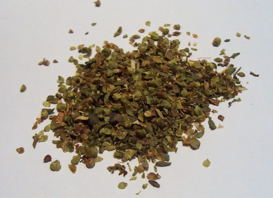 Cultivo y cuidados botánicos de Oregano Silvestre