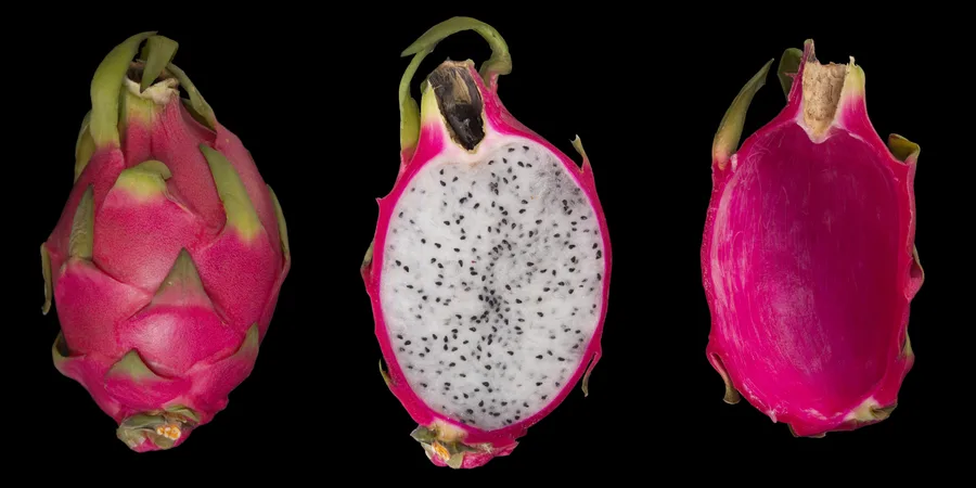 Pitaya Hylocereus Undatus — cuidados y propiedades