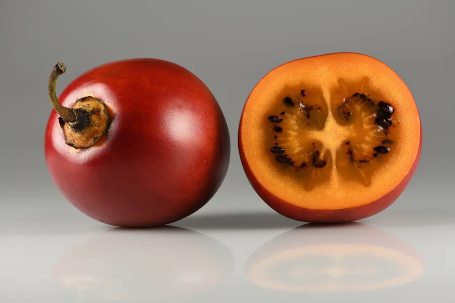 Tamarillo Solanum Betaceum — cuidados y propiedades