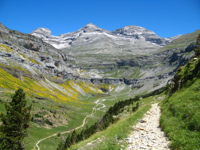 te-de-monte